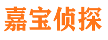 湖口市私家侦探